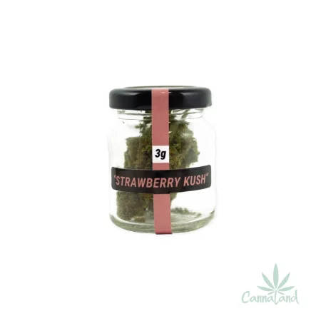 CBD Strawberry Kush