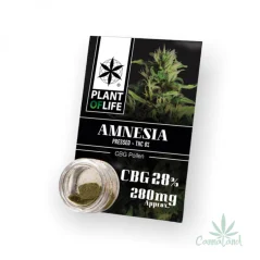 CBG Pollen 28% Amnesia 1g