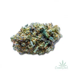 CBD Sweet Mango