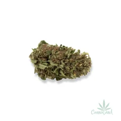 CBD Tatanka