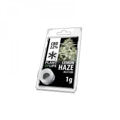CBD Jelly 22% Lemon Haze 1g