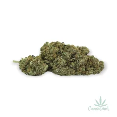 CBD AK47