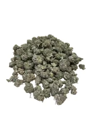 Critical Haze