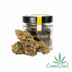 CBD Lemon Haze