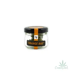 CBD Orange Bud