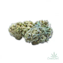 CBD Cannatonic by HD