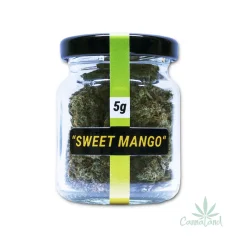CBD Sweet Mango 5g