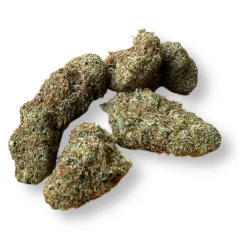 CBD Sour Lifter 23% 1g