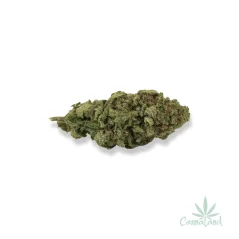 CBD Cannatonic by MG