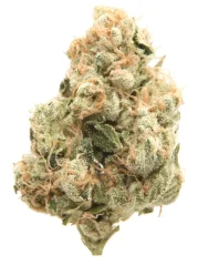 THC-X Sour Diesel 31% 1g