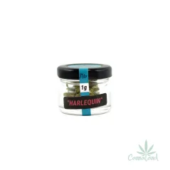 CBD Harlequin by MG