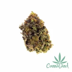 CBD CANNALAND No.1 1g