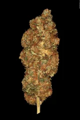 Konopná semínka Space Cookies feminizovaná
