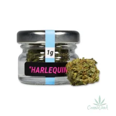 CBD Harlequin by MG 1g