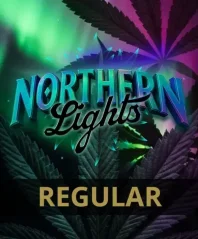 Konopná semínka Northern Lights feminizovaná