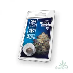 CBG Jelly 33% Blueberry 1g