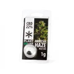 CBD Jelly 22% Amnesia 1g