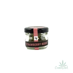 CBD Strawberry Kush