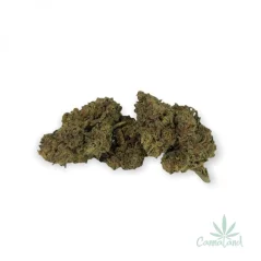 CBD Swiss Amnesia
