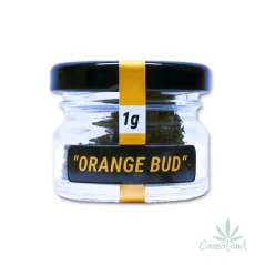 CBD Orange Bud 1g