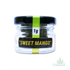 CBD Sweet Mango 1g