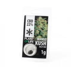 CBD Jelly 22% Mango Kush 1g