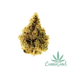 CBD Lemon Haze 1g