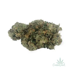 CBD Tangerine Dream