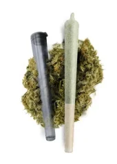 CBD PRE-ROLLS greenhouse joint 1ks