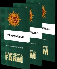 Konopná semínka Trainwreck feminizovaná