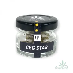 CBG STAR 1g