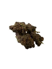 Granddaddy Purple Magic Mix 33% 1g