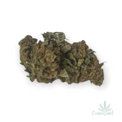 CBD Royal Highness