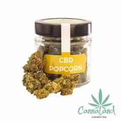 CBD Popcorn