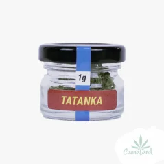 CBD Tatanka 1g