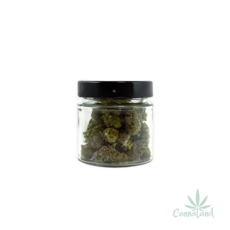 CBD Strawberry Kush