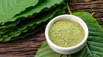 Kratom: Přírodní zázrak nebo návyková látka?
