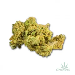 CBD Silver Haze