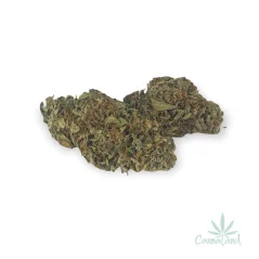 CBG STAR