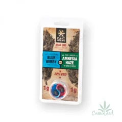 CBD Jelly 22% Blueberry vs Amnesia Haze 2g