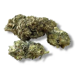 THC-X Amnesia 31% 1g
