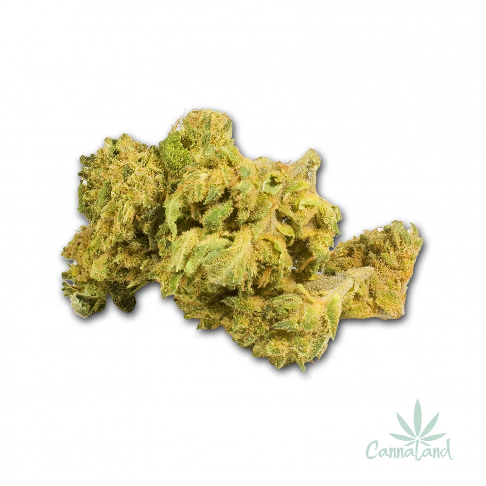 CBD Silver Haze